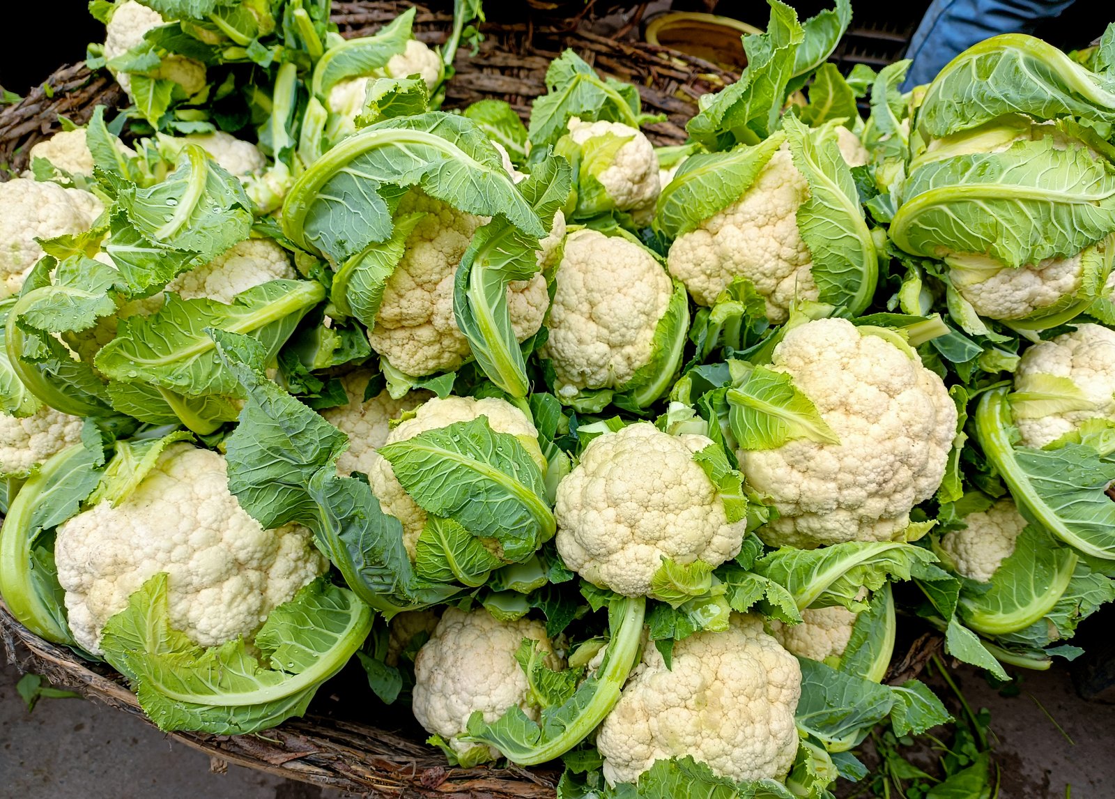 Cauliflower