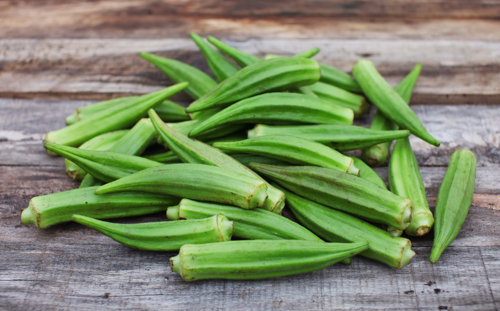 Okra