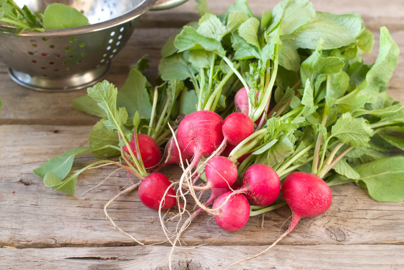 Radishes