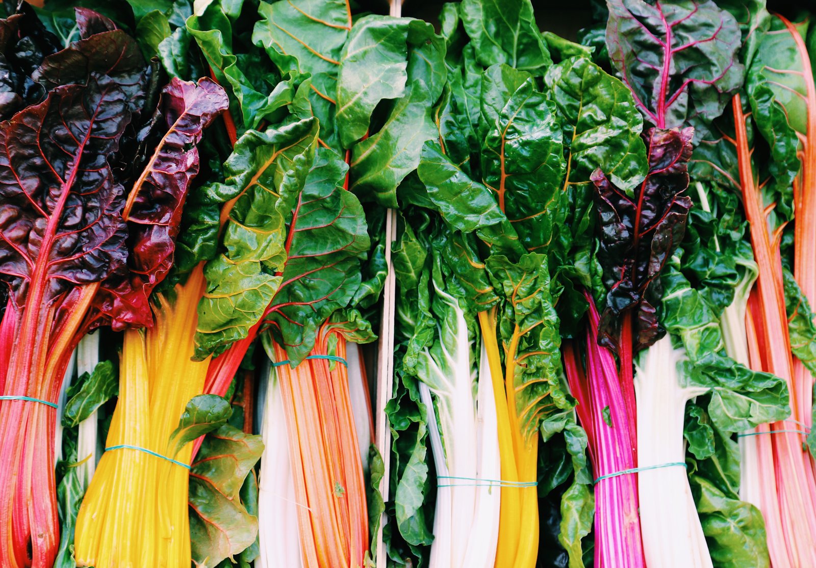 Swiss Chard