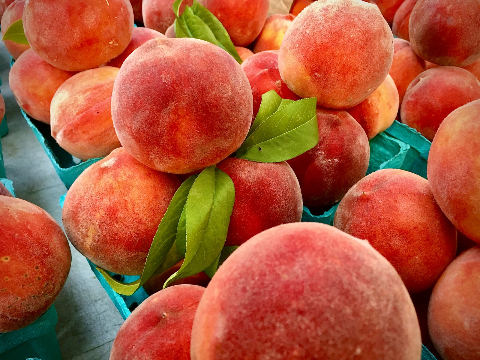 Peaches