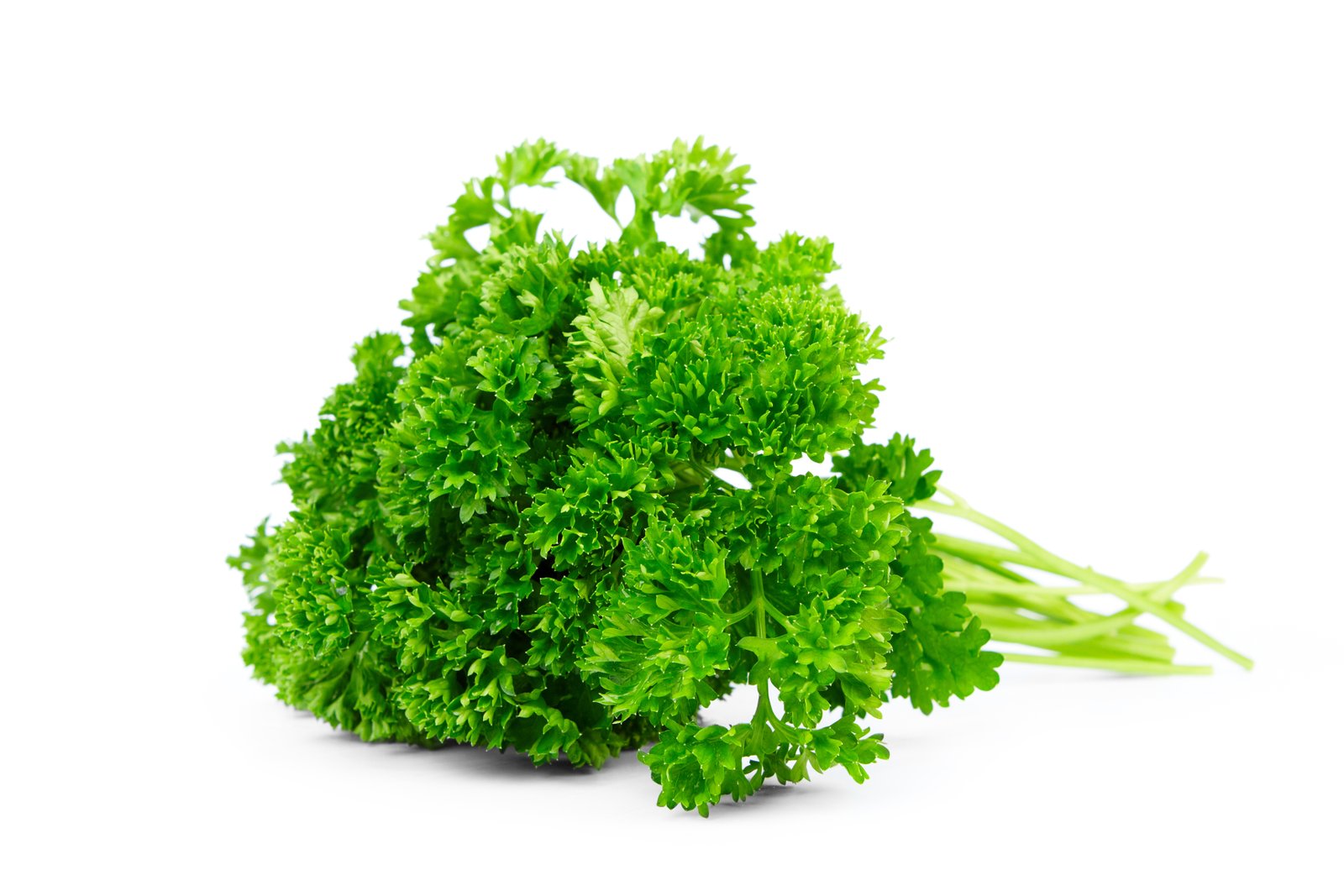Parsley